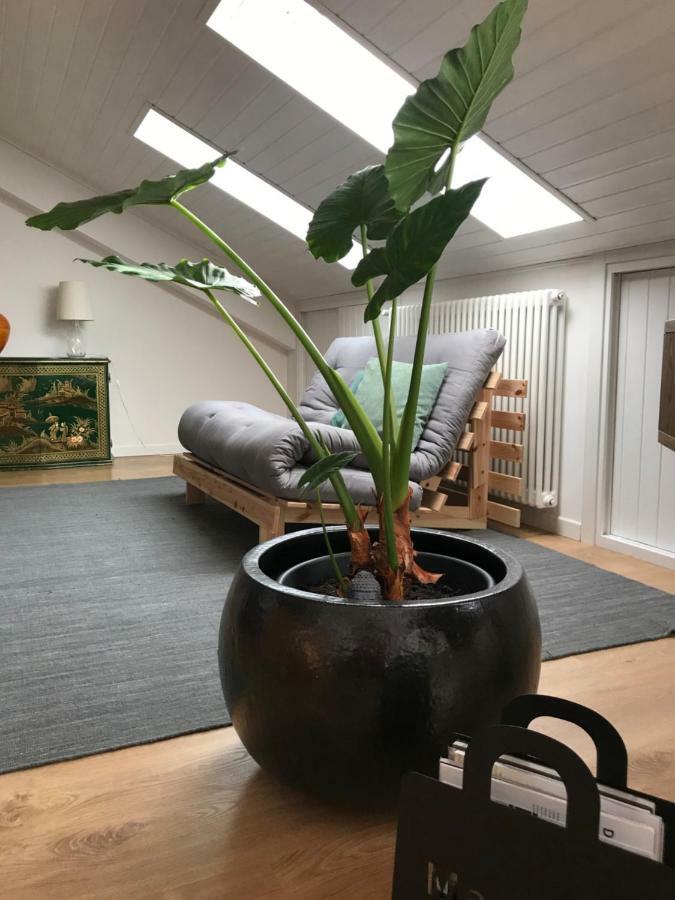 كافالّينو Little Lio Apartment المظهر الخارجي الصورة